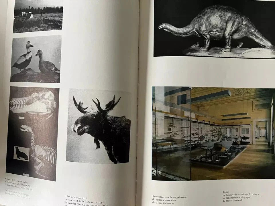 LE MUSEE NATIONAL 1818 - 1968 PRAHA CZECHOSLOVAKIA 150 ANNI DEL MUSEO NAZIONALE