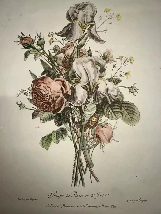 ANTICA LITOGRAFIA COLORATA GRUPPO DI ROSE E IRIS DUPONT -LANGLOIS 1880 CM 48 X33