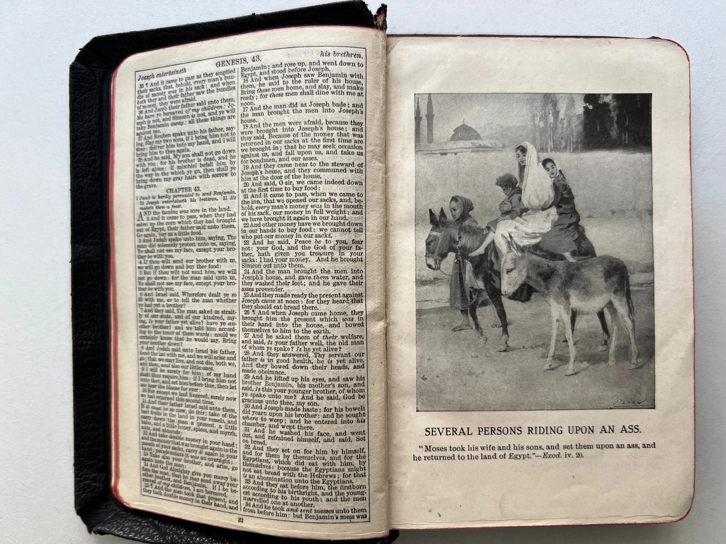 THE PALESTINE PICTORIAL BIBLE - THE HOLY BIBLE ILLUSTRATED 1911 OXFORD PRESS