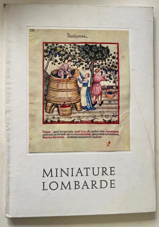 MINIATURE LOMBARDE MIRIAM BONDIOLI VALLARDI EDITORE 1964 VISMARA TERAPEUTICI