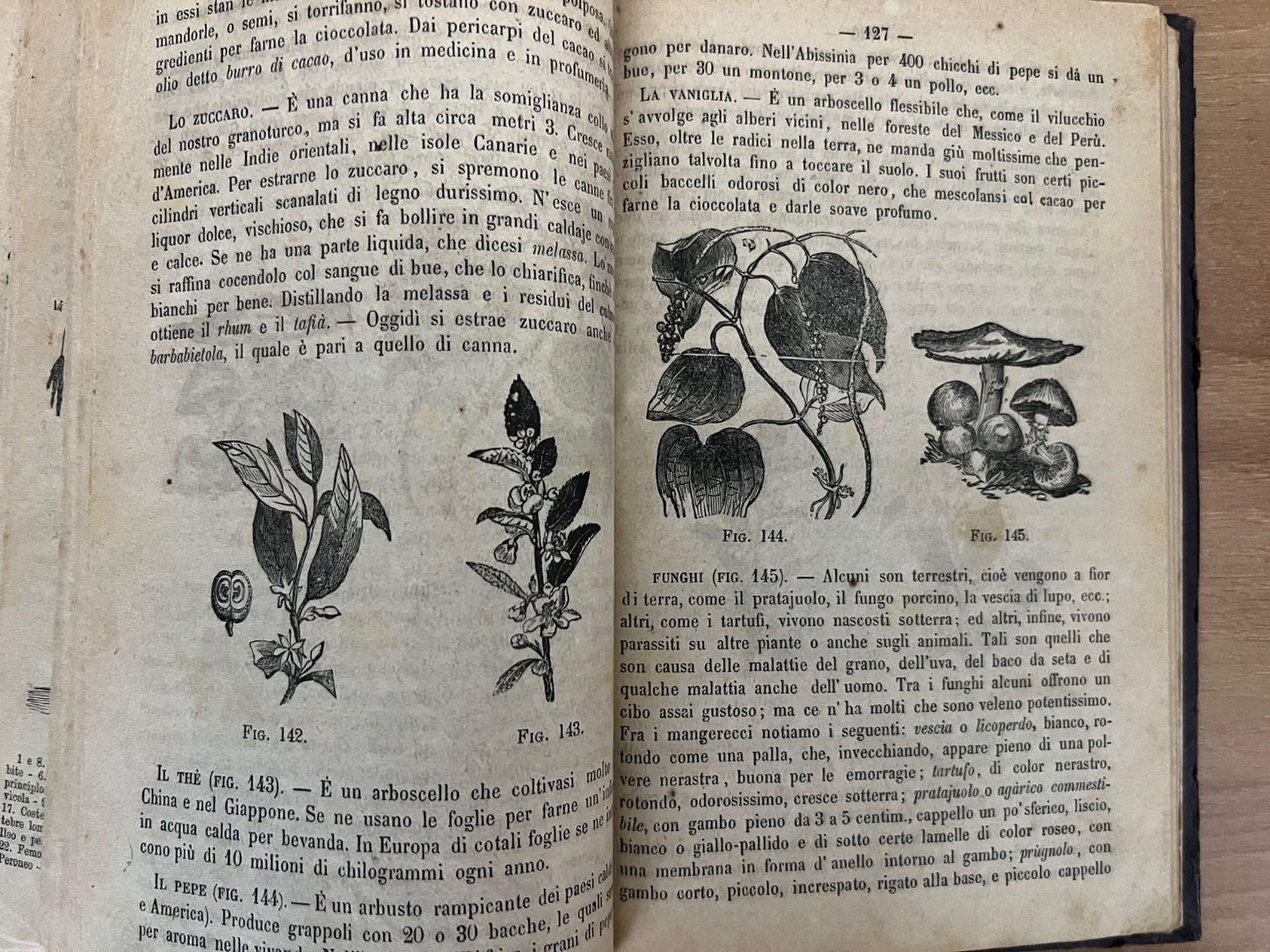 LA MORALE PRATICA DOVERI ESPOSTI ALLE GIOVINETTE + LA BUONA GIANNINA 1866 ILLUST