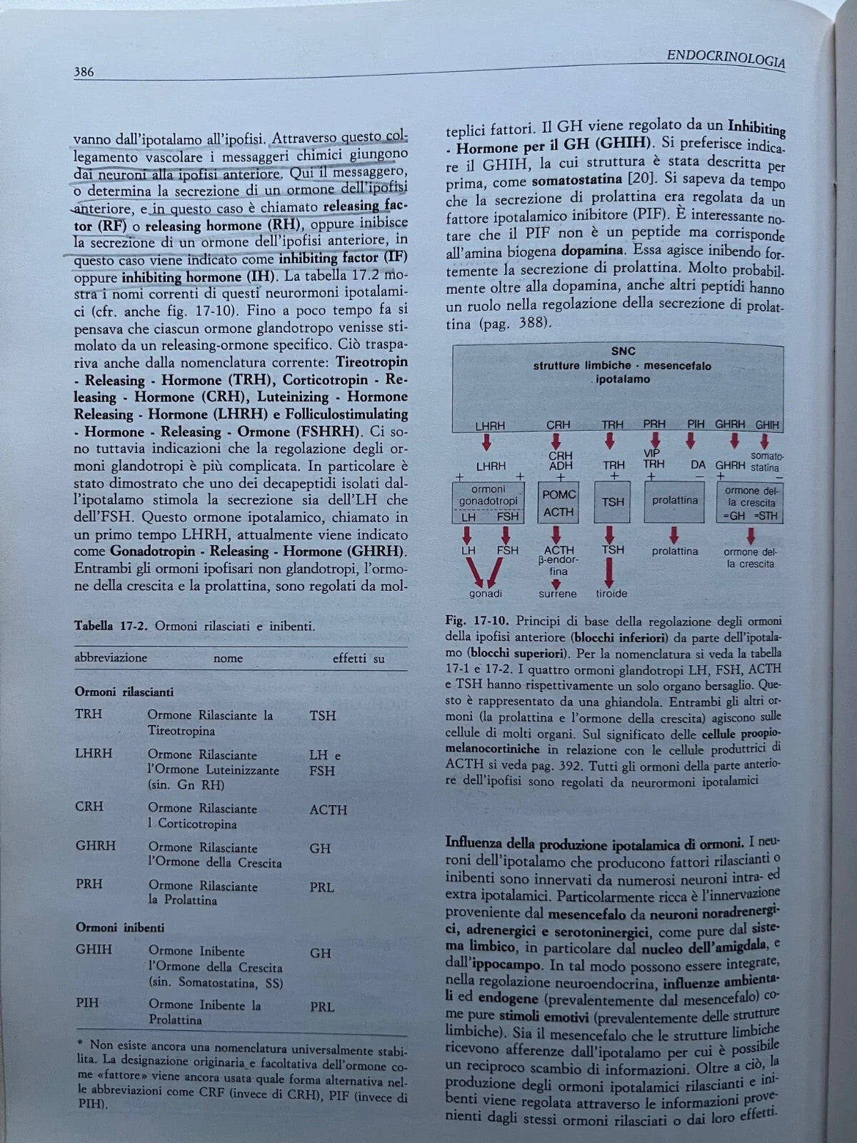 SCHMIDT - THEWS FISIOLOGIA UMANA IDELSON 1992 TERZA EDIZIONE