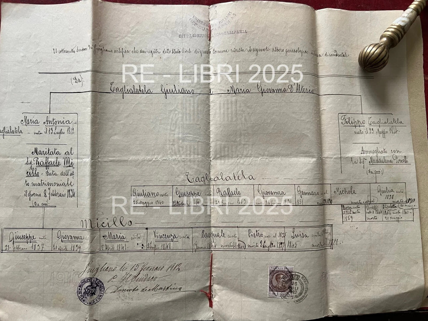 UNIVERSITAS JULIANI OPPIDUM CAMPANIAE 1912 ALBERO GENEALOGICO GIUGLIANO IN CAMPA