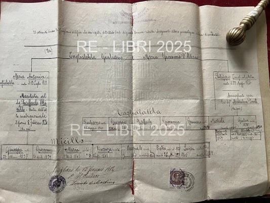 UNIVERSITAS JULIANI OPPIDUM CAMPANIAE 1912 ALBERO GENEALOGICO GIUGLIANO IN CAMPA