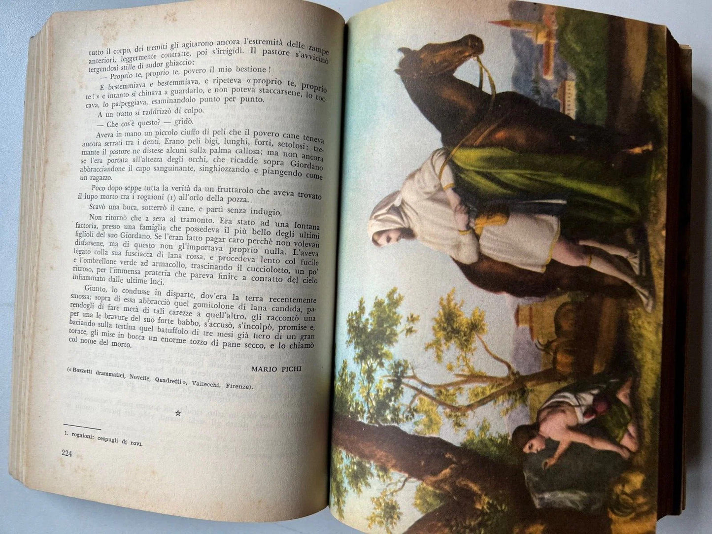 COLLI FIORITI ANTOLOGIA PER LA SCUOLA MEDIA 1955 ILLUSTRATA EDITRICE A. e C.