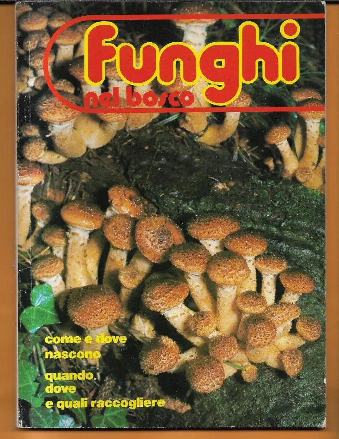 FUNGHI COME E DOVE NASCONO, QUANDO DOVE E QUALI RACCOGLIERE CURCIO 1977
