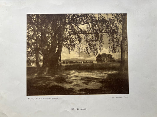HERMAN HAMNQVIST – Effet de soleil (Effetto di sole) – Pregiata Stampa Eliografica d'Arte Cliché Augusta Torino, Primi '900