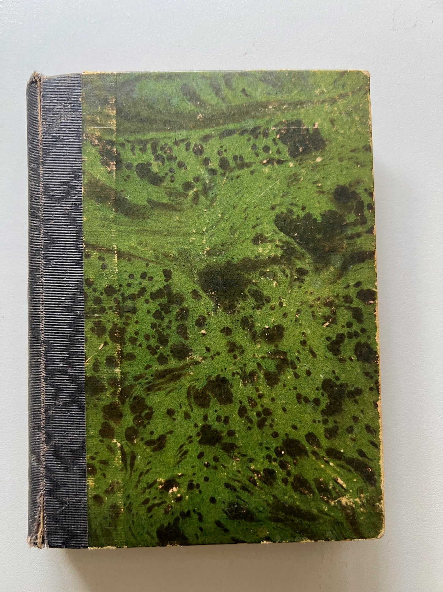 Manuale Tecnico 1900: Libro d'Oro del Capo-Officina + Impianti Elettrici Lavagnolo Due opere in un volume